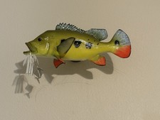 Peacock bass mount for sale  Plano