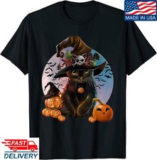 Witch black cat for sale  Carroll