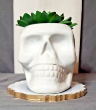 succulent skull pot for sale  Houston