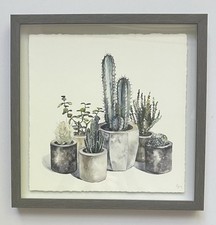 Classy succulents framed for sale  Austin