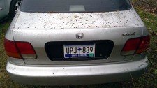 civic hatch 1998 dx for sale  Gaffney