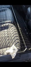 Hundegitter trenngitter ford gebraucht kaufen  Lauingen (Donau)