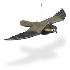 Rapace faucon anti d'occasion  Lyon I