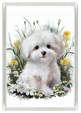 Maltese puppy flowers for sale  COLEFORD