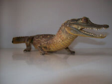 Crocodile naturalisé taxiderm d'occasion  Hérouville-Saint-Clair