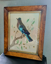 Decorative feather bird for sale  LIVERPOOL