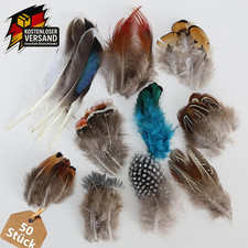 Pcs bunte federn gebraucht kaufen Pcs bunte federn gebraucht kaufen  Ehlscheid, Kurtscheid, Melsbach