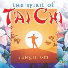 Spirit tai chi gebraucht kaufen  Berlin