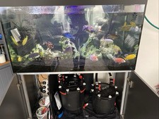 Aquarium sale for sale  ORPINGTON