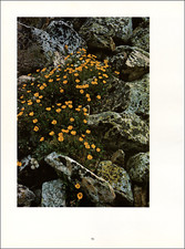 1975 vintage print for sale  Carmel Valley