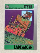 Riginal prospekt steyr gebraucht kaufen  Bernried