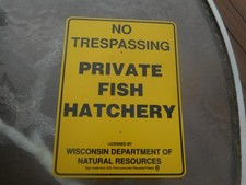Vintage wisconsin fish for sale  Stevens Point