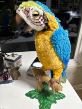 Squawkers mccaw parrot for sale  Lafayette