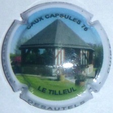 Capsule champagne super d'occasion  Le Mée-sur-Seine