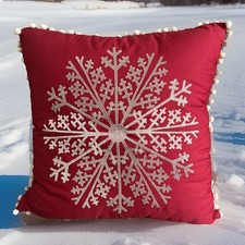 Large red christmas for sale  Jamesville