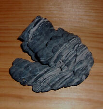 Basalt lava brasilien gebraucht kaufen  Göttingen