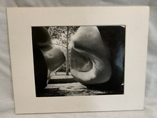 Black white photo for sale  Corpus Christi