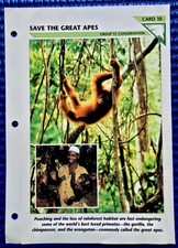 Wild life fact for sale  Clive
