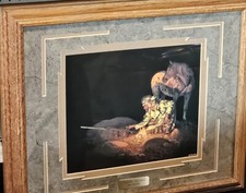 Bev doolittle unknown for sale  Seward