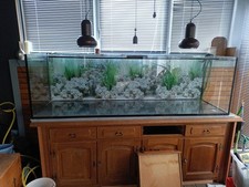 Aquarium 720 kompl gebraucht kaufen  Hamm