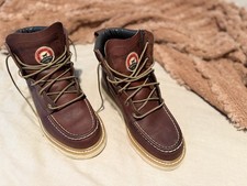 Irish setter 83605 for sale  Jber