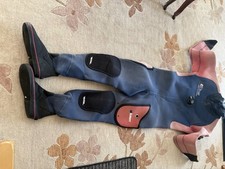 Northern diver euro for sale  EASTBOURNE