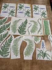 Tatouage ferns and d'occasion  Expédié en Belgium
