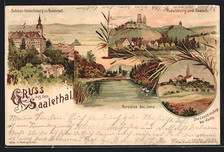 Lithographie jena schloss gebraucht kaufen  Berlin