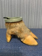 Vintage antique taxidermy for sale  Pasadena