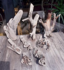 Treibholz schwemmholz unikat gebraucht kaufen  Hilden