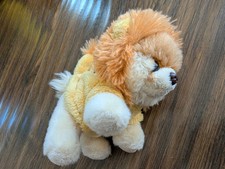 Dog pomeranian puppy for sale  Newbury Park