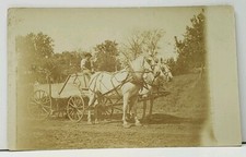 Man beautiful horses for sale  Marion
