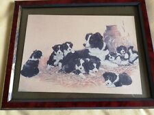 Border collie family for sale  ABINGDON