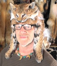 Bobcat fur mountain for sale  West Falls
