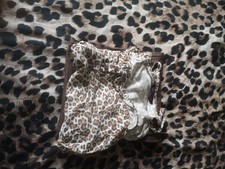 Senza brown lepoard for sale Senza brown lepoard for sale  WREXHAM