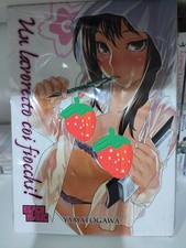 Lavoretto coi fiocchi usato  Nettuno