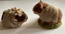 Guinea pig resin for sale Guinea pig resin for sale  HALESWORTH