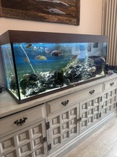 Lovely juwel rio for sale  ROYSTON