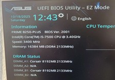 Asus prime b250 gebraucht kaufen  Waghäusel