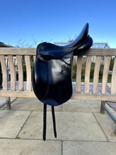 Kieffer lusitano dressage for sale Kieffer lusitano dressage for sale  UK