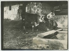 Agriculture. elevage. paysanne d'occasion  Montargis