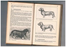 Ddr jagdbuch jäger gebraucht kaufen  Dessau-Roßlau