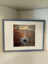 Gerahmte bilder wien gebraucht kaufen  Schwelm