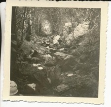 Oryginalne zdjęcie las walka pod Tagnon Ardeny Francja lipiec 1940 FE158, używany na sprzedaż  PL