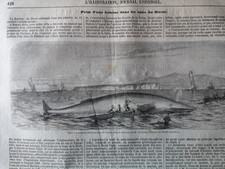 1847 zeitungsdruck 128 gebraucht kaufen 1847 zeitungsdruck 128 gebraucht kaufen  Merseburg