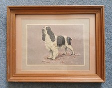 Framed mounted print for sale  WARMINSTER