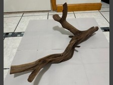 manzanita branches for sale manzanita branches for sale Astoria
