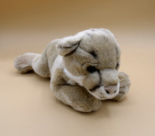 Gund cougar hawkeye for sale  Pompano Beach