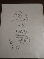 Peanuts charlie brown for sale  Blackwood