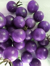 Lila tomate blueberry gebraucht kaufen  Muldestausee